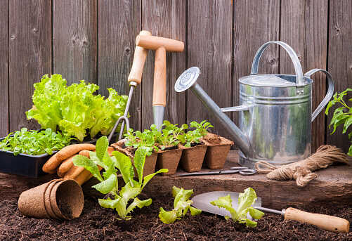 narzędzia ogrodnicze